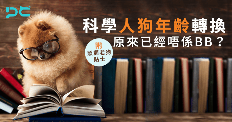 PetbleCare 寵物保險 香港 科學 人狗年齡轉換 已經唔係BB 照顧老狗貼士