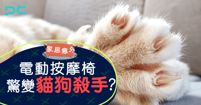 PetbleCare 寵物保險 香港 買寵物保險 貓貓 狗狗 手續 家居意外 電動按摩椅 貓狗殺手 夾死貓 夾死狗